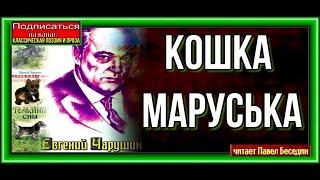 Кошка Маруська— Евгений Чарушин   —читает Павел Беседин