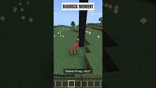 Bugrock Moment️️ #bugrock #minecraftbugrock