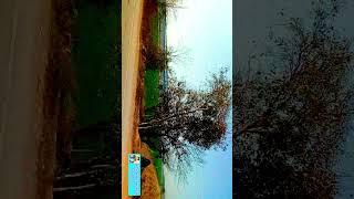 ASIA TRAVEL || INDIA TRAVEL || TRAVEL || TRAVEL WITH ME || PART-5 || NO.9 || CHECK FULL VIDEO ||13