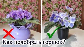 Как подобрать горшок для фиалки? Большой или маленький?