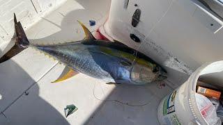 Birthday Yellowfin Tuna in Grand Cayman