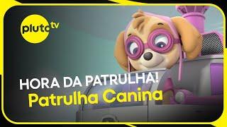 UMA HORA de Skye na Patrulha Canina | PLUTO TV