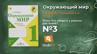 Задание 3 Что общего у разных растений? - Окружающий мир 1 класс (Плешаков А.А.) 1 часть