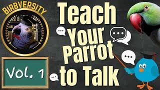 Birbversity [Vol. 1] Teach Your Parrot To Talk | Parrot Town TV for Your Bird Room