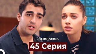 Зимородок 45 Cерия (Русский дубляж)