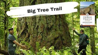 Urban Trails Kitsap : Big Tree Trail - Short easy day hike