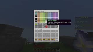 Hypixel Skyblock DUPE (Working July 2024)