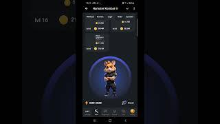 КОМБО КАРТОЧКИ В HAMSTER KOMBAT НА 10 СЕНТЯБРЯ. ( ЗАБИРАЕМ КОМБО В ХОМЯКЕ ) #комбо #HamsterKombat