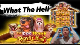 Jackpot Explosion On The Dog House – Royal Hunt