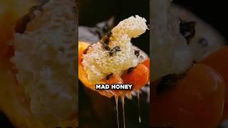 What The Rarest Honey In The World Does To You 