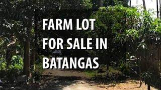 FARM LOT FOR SALE IN BATANGAS