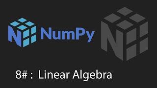 Python Numpy Tutorial - 8 - Linear Algebra