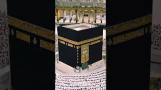 #new#islamic#viral#video#shortsfeed#freepalestine#allah