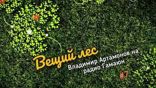 Вещий Лес. Выпуск Седьмой