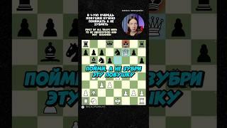 Универсальная жертва в гамбите Эванса! #гамбит
