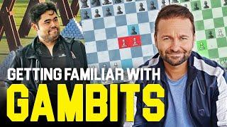 How to Play The Danish Gambit Like Daniel Negreanu