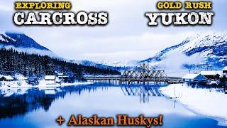 Exploring Carcross, Yukon including Dog Sledding in Canada