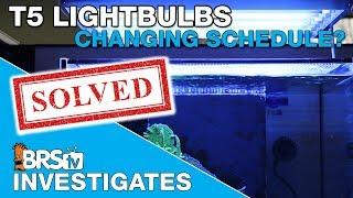 How often should we change T5 bulbs? Part I | BRStv Investigates