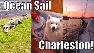 Ocean Sail to Charleston and Middleton Place | Sailing Wisdom Ep 98