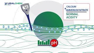 Calcium Ammonium Nitrate by Uralchem Group