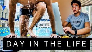 Day in the life of a College Athlete | Cal Swimming