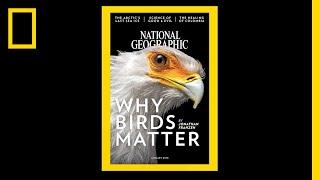 See 130 Years of National Geographic Covers in Under 2 Minutes | National Geographic