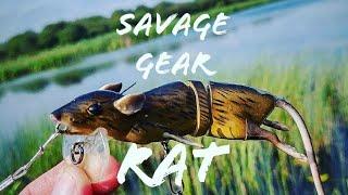 Top water fishing with the Savage Gear Rat