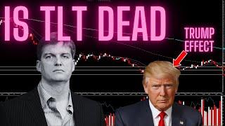 Is Michael Burry's TLT in Jeopardy with Trump winning the presidency