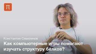 Фолдинг белка - Константин Северинов