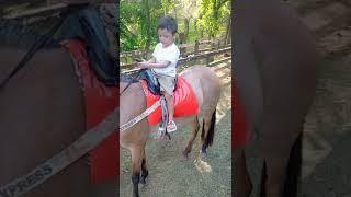 My Brother Riding a Horse I Andrew Play TV