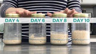 Day 4-10+: How to Make a Sourdough Starter