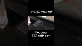 МФУ Kyocera TASKalfa 2020 #kyocera #taskalfa #мфу #mfy #shortsyoutube #shortsvideo #shots