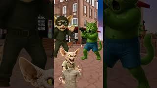 Hey give me back my uniform kids #cat #catvideos #catlovers #trendingshorts