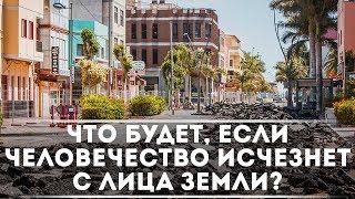 Что будет, если человечество исчезнет с лица Земли? | DeeaFilm