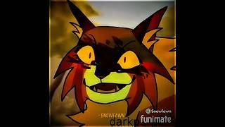 Pitbull//️:​⁠@Star_Wingwc//#warriorcats #warriornation #edit #shorts #trending #fyp #capcut #cat