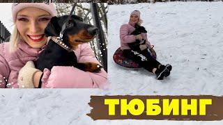 ДЕНЬ ТЮБИНГА! ЭКСТРИМАЛЬНЫЕ СПУСКИ С СОБАКОЙ