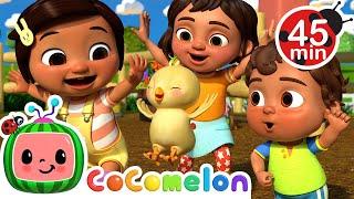 Baby Animal Dance + MORE CoComelon Nursery Rhymes & Kids Songs