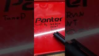 tuning a panter logo