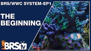 Ep1: How we setup a simple and stable reef tank | The BRS/WWC System