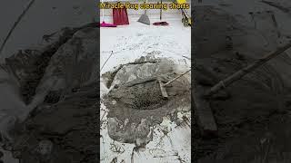 ASMR Cleaning: World’s Dirtiest Rug TRANSFORMED!