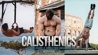 Calisthenics Motivation | After Dark X Sweater Weather Edit | Freestyle, Planche, Front Lever 