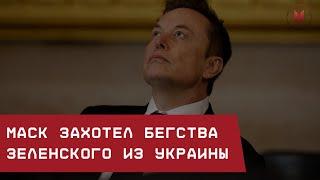 Маск захотел бегства Зеленского из Украины