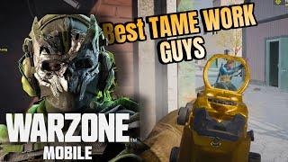 The Best TAME WORK TEAM in WARZONE MOBILE! (No commentary)