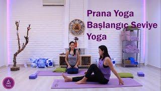 Prana Yoga Başlangıç Seviye Yoga Dersi