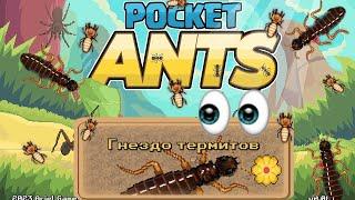 Pocket Ants l Всего 2 игрока | Гнездо термита