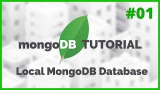 MongoDB in NodeJS - Hosting a local database (2020) [Episode #1]