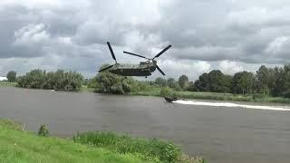 Chinook chasing a boat