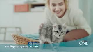 Purina One. Самый важный первый год