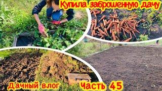 КУПИЛА ЗАБРОШЕННУЮ ДАЧУ #45/ СПАСАЮ СВОЙ ЗАРОСШИЙ ОГОРОД/ ВСЕ ЗАРОСЛО СОРНЯКАМИ/ПЕРЕСАЖИВАЮ ВИКТОРИЮ