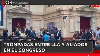 TROMPADAS ENTRE LLA y ALIADOS en el CONGRESO